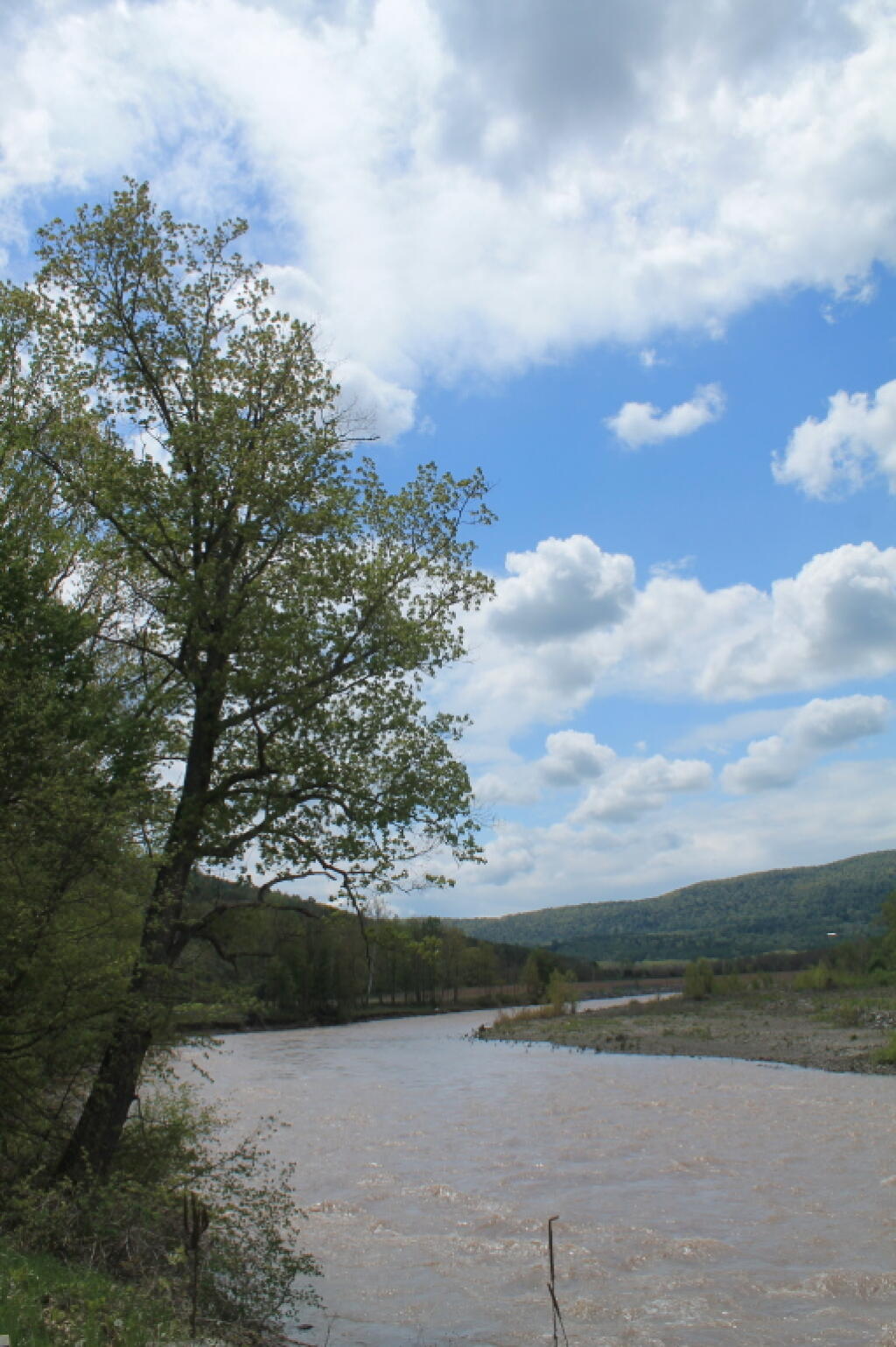 Photo: Creek Bends