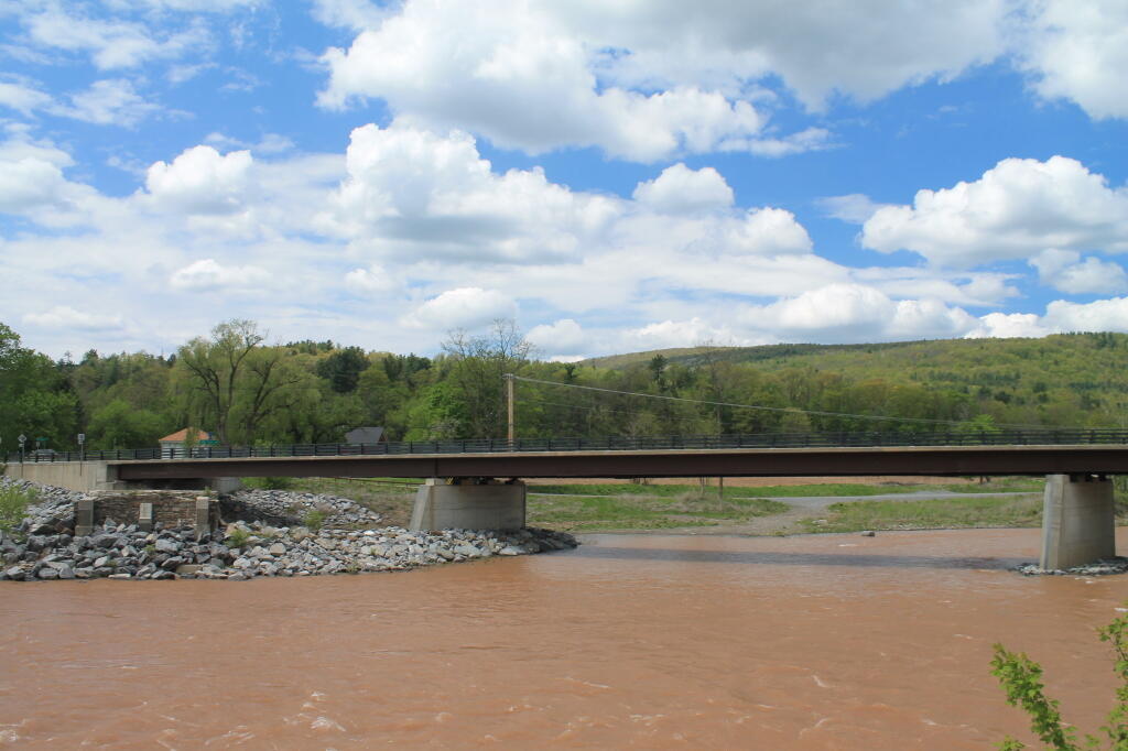 Photo: New Blenheim Bridge