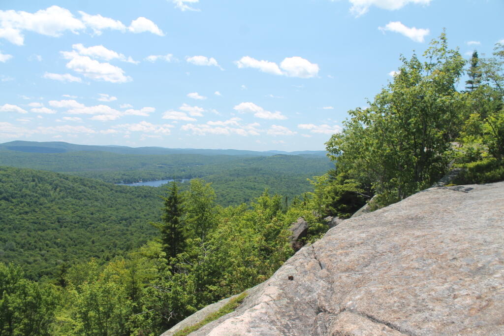 Photo: Limekiln Lake in a Sea of Green