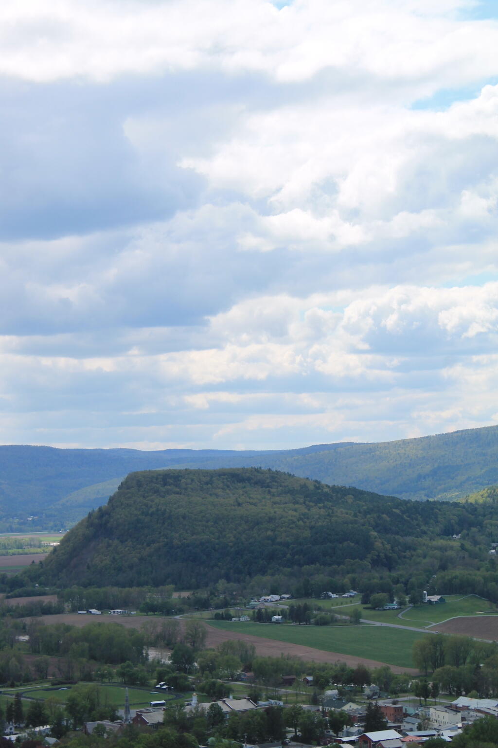 Photo: Clearing A Bit
