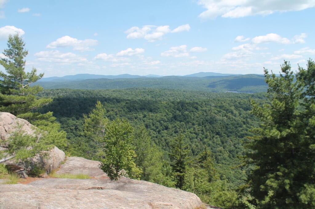 Photo: Looking East