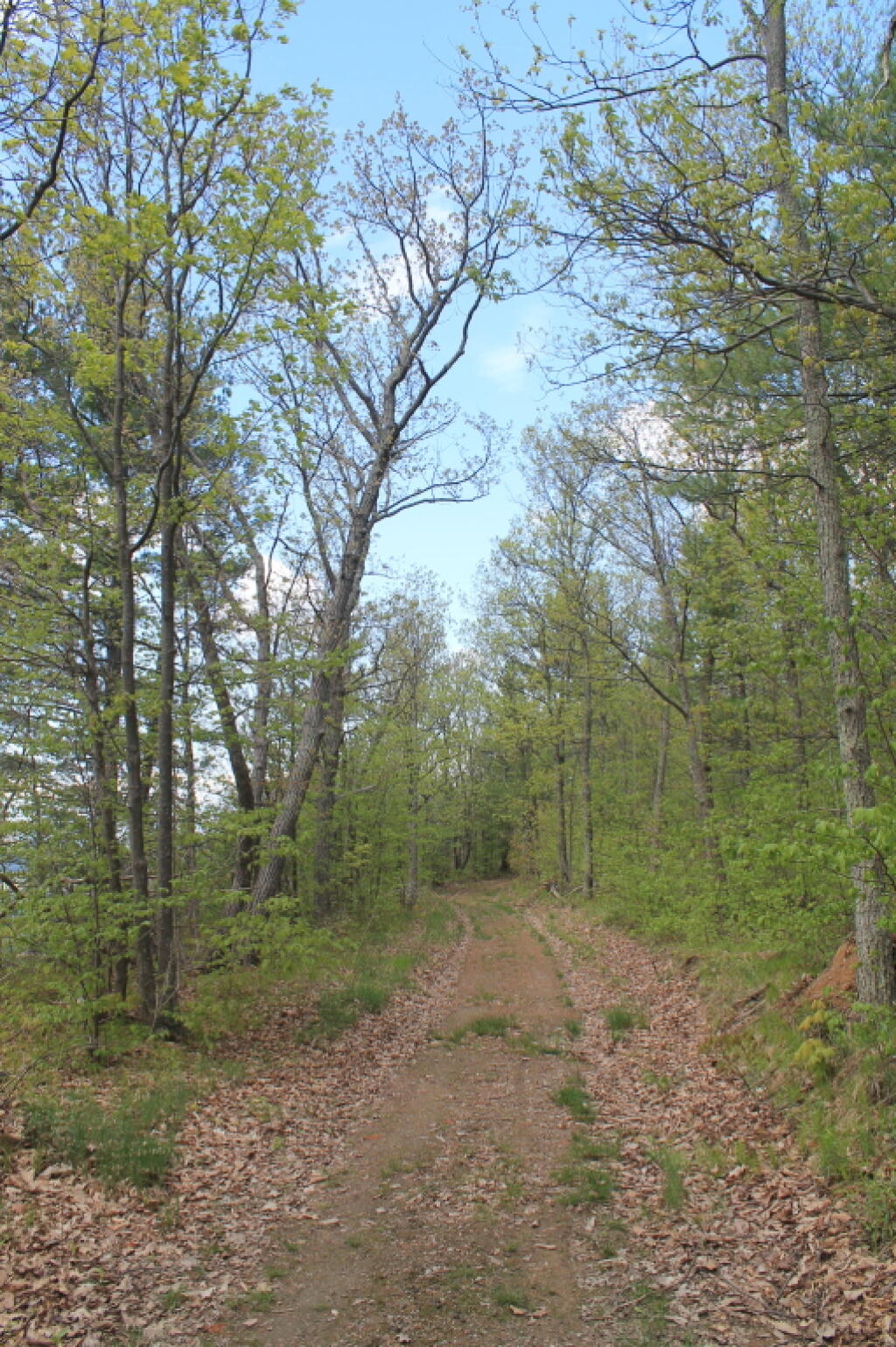 Photo: Springtime on the Trail