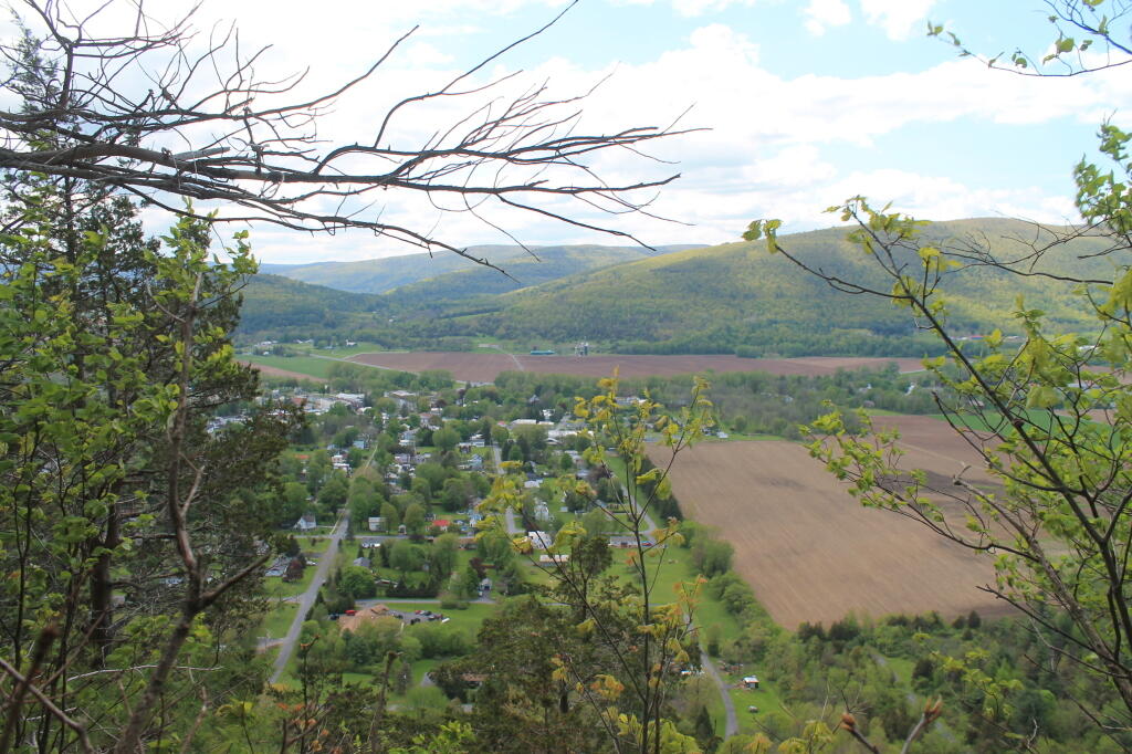 Photo: Middleburgh