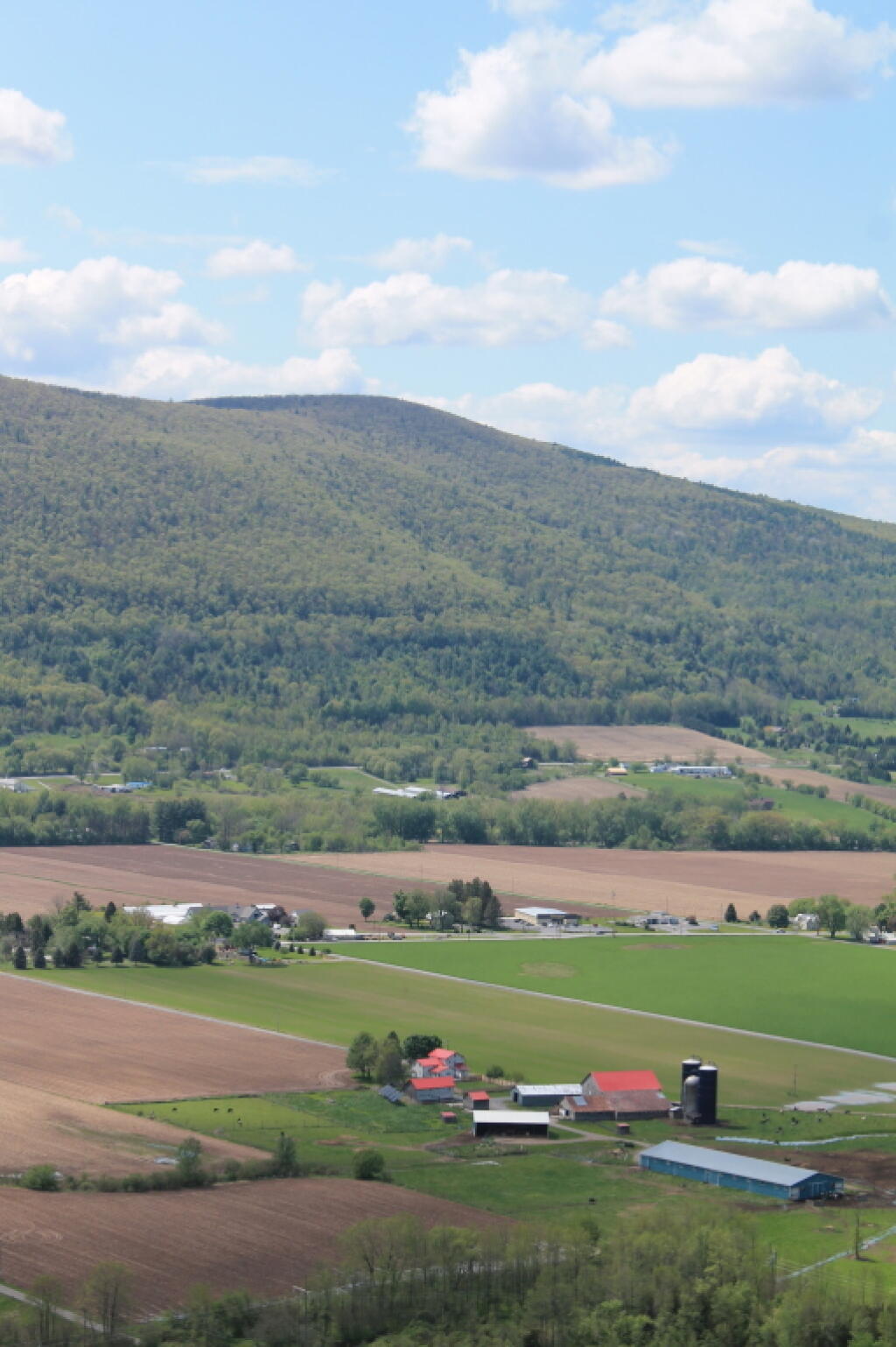 Photo: Towards East Cobelskill