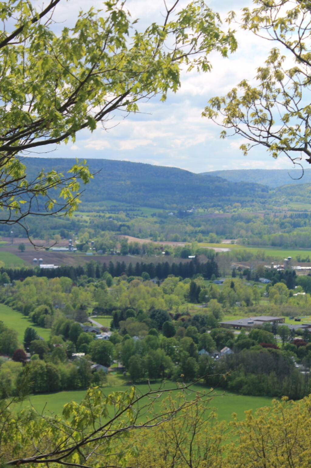 Photo: South from Middleburgh Cliff