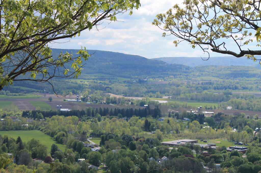 Photo: Green Across Middleburgh