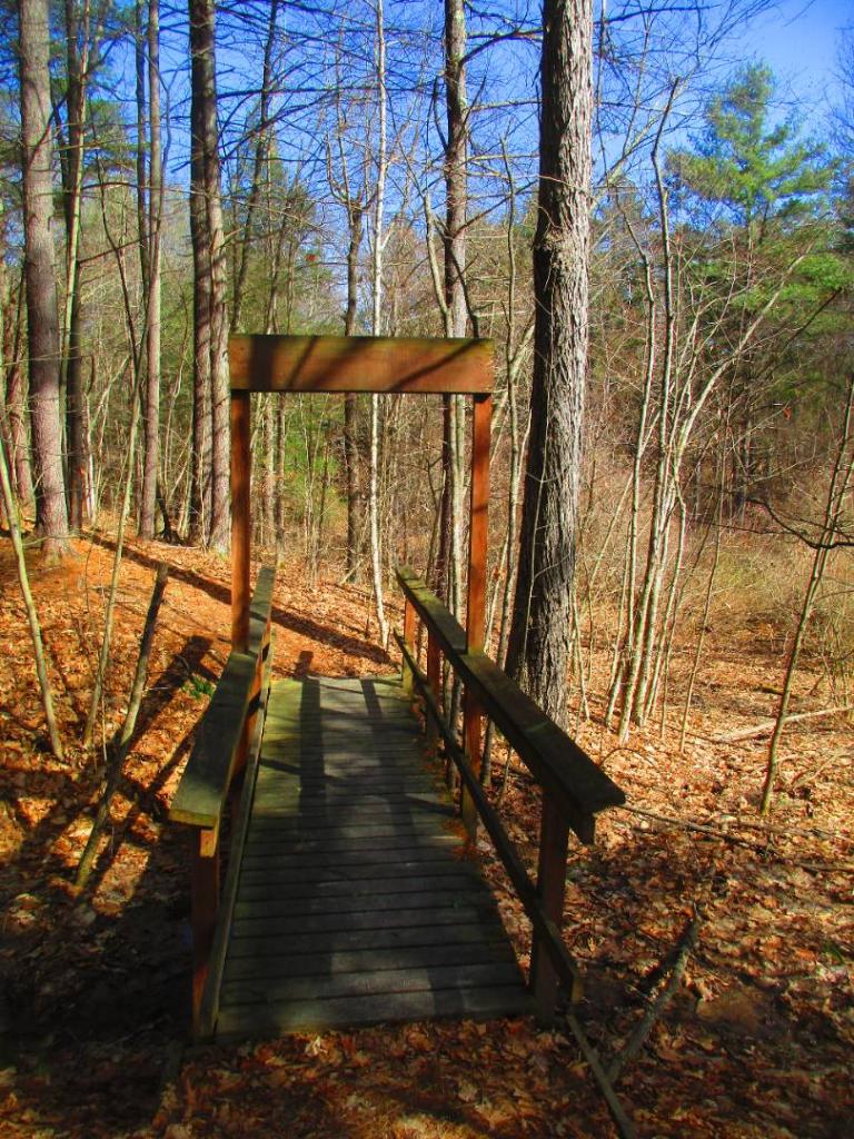 Photo: Bridge