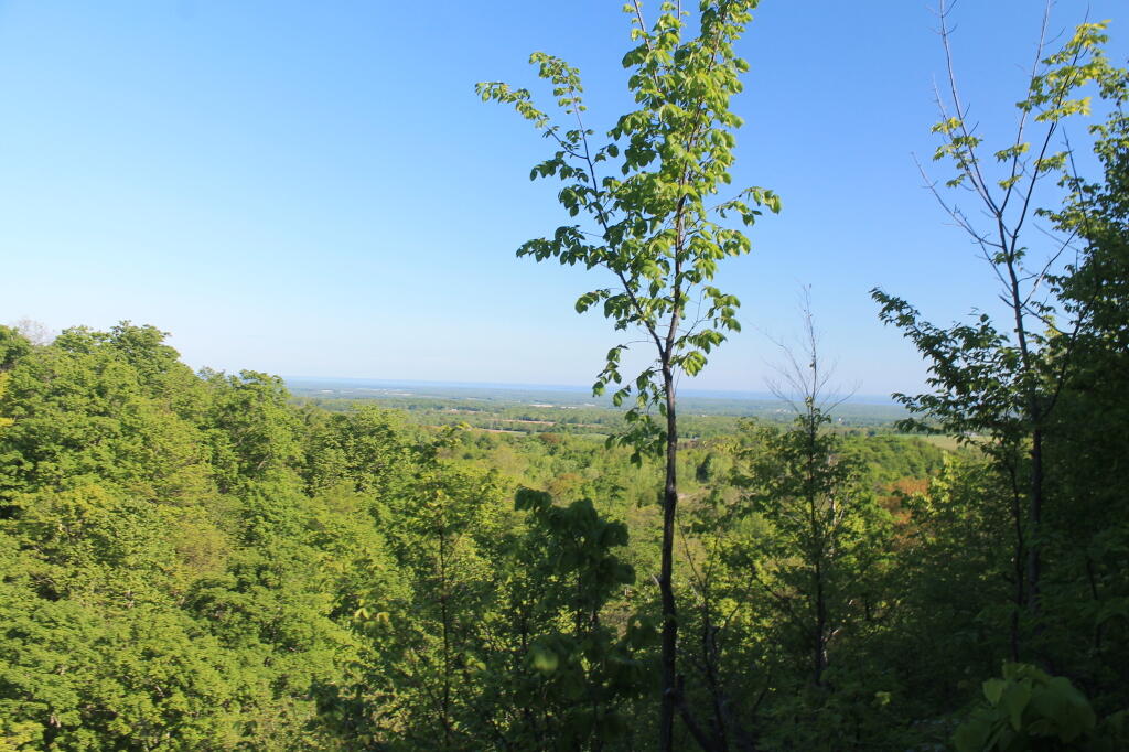 Photo: Overlook