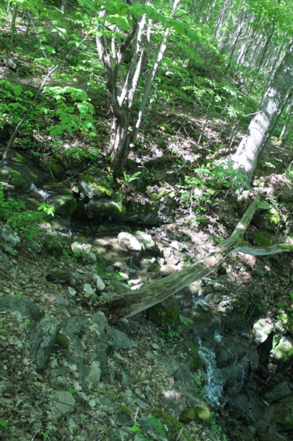 Photo: Another Small Falls