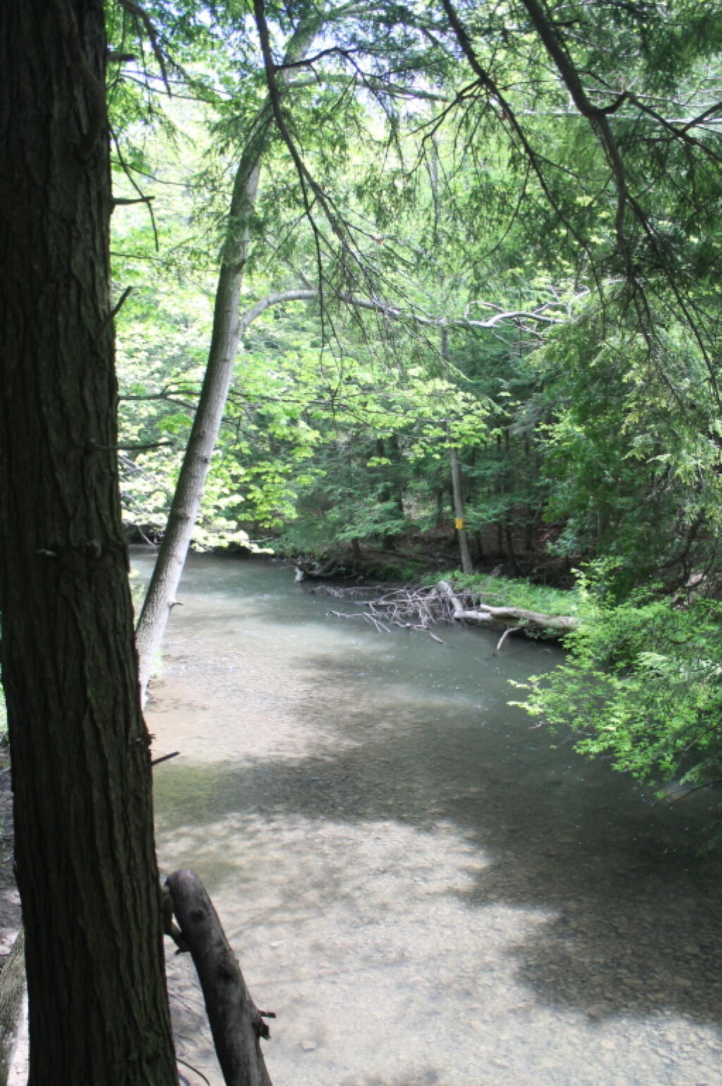 Photo: Chittenango Creek