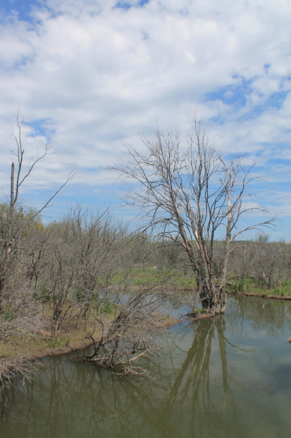 Photo: Chittenango Creek from the Railroad Bridge