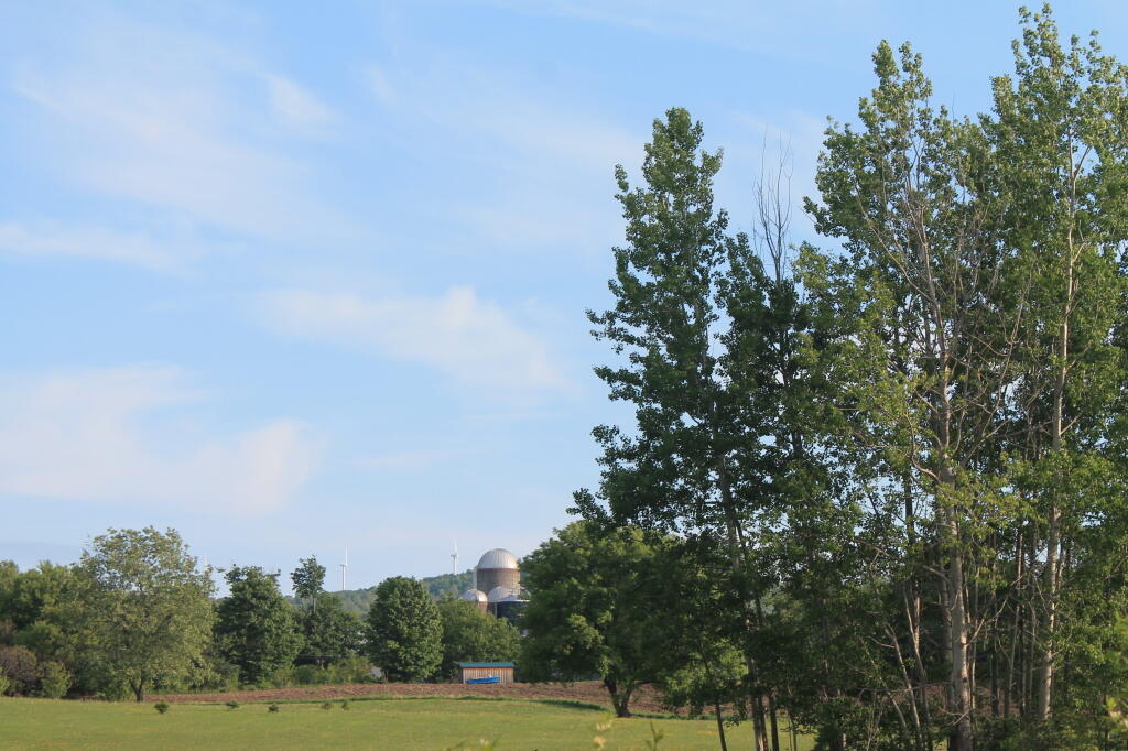 Photo: Farms Along Nelson Road and Trailway