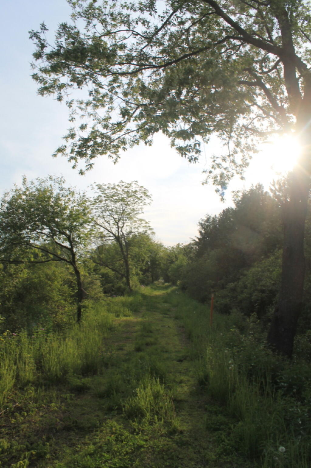 Photo: Setting Sun