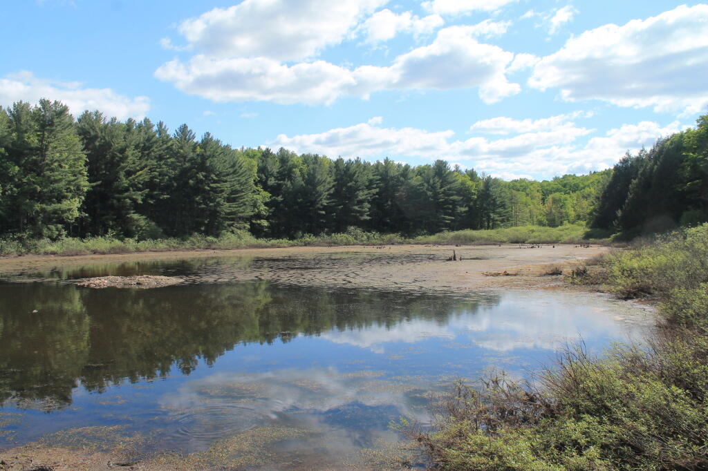 Photo: Small Pond Next To Stony Pond
