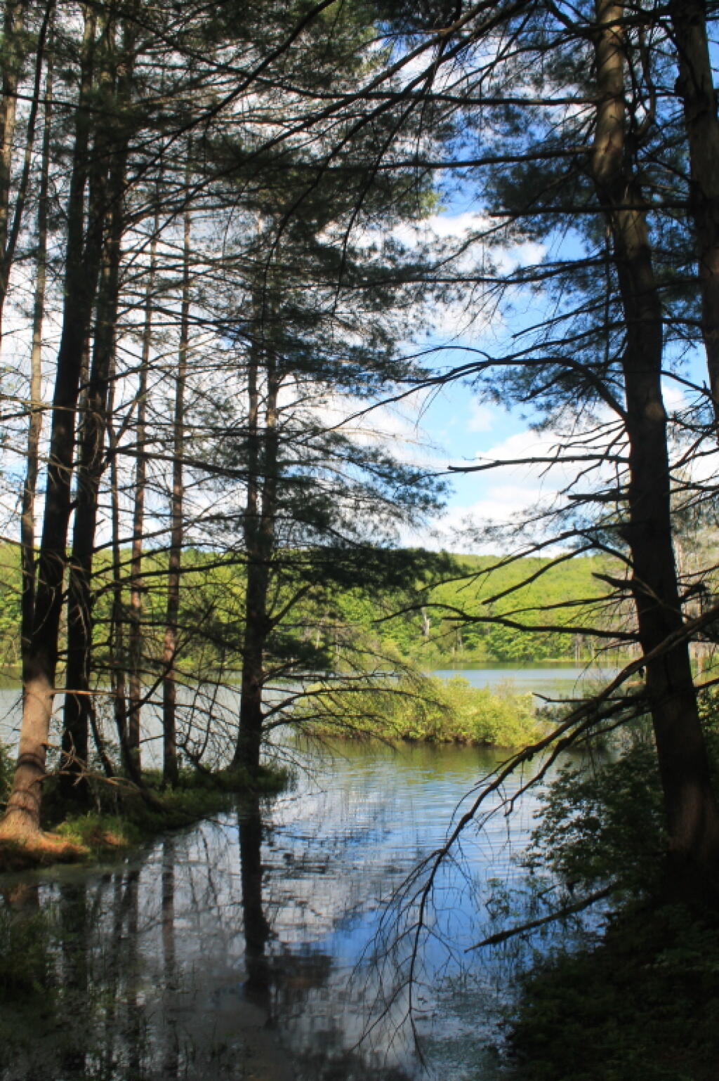Photo: Stoney Pond from Edge Trail
