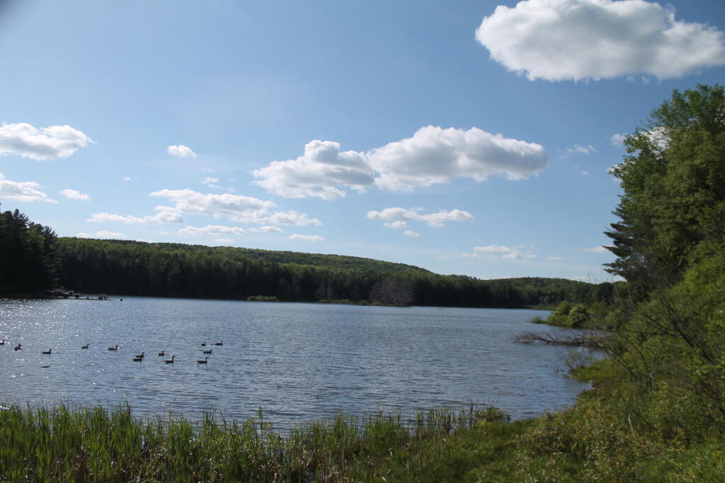 Photo: Stoney Pond from the Dam