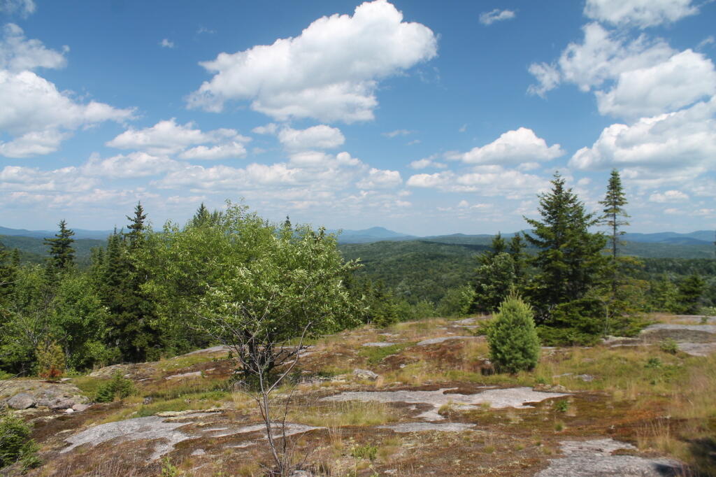 Photo: Along the Top of Black Bear Mnt
