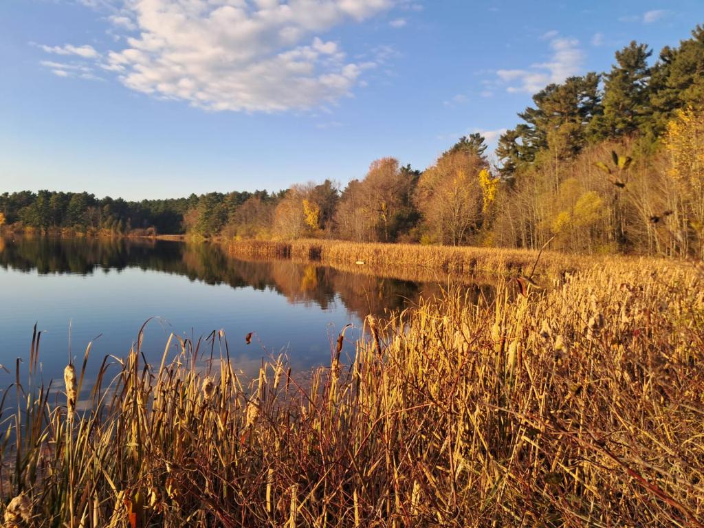 Photo: Beautiful fall morning at Rugar Woods