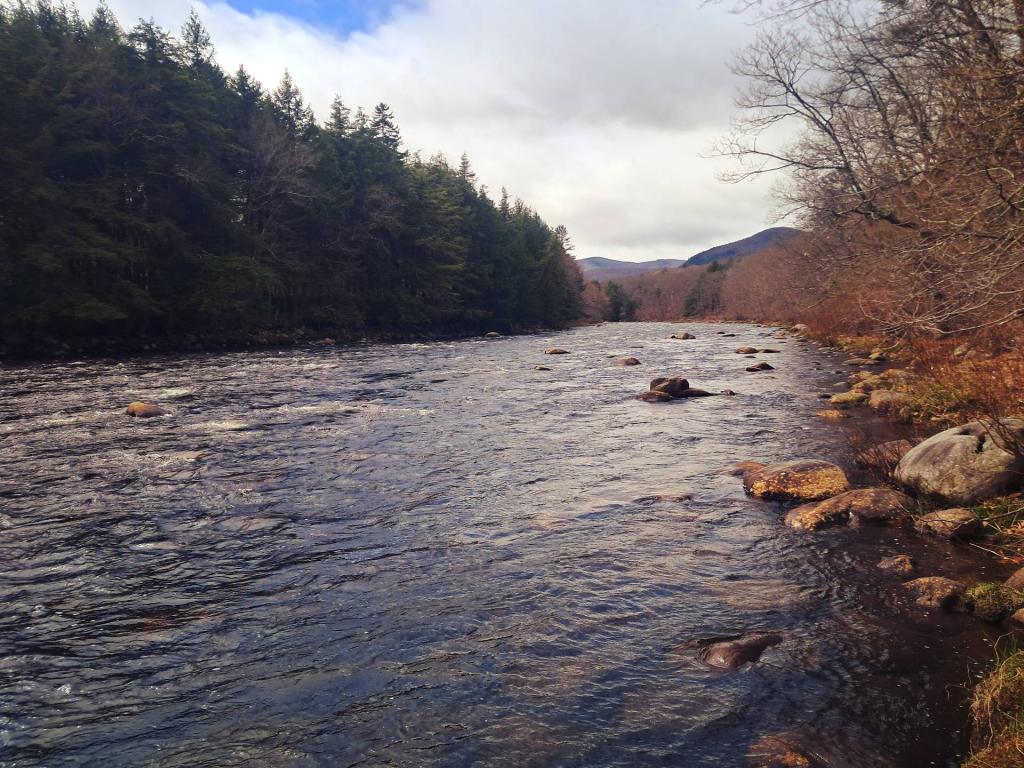 Photo: West Sacandaga Creek
