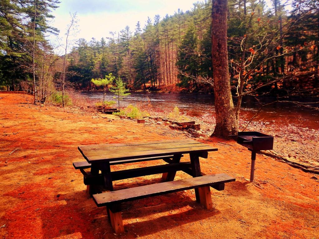 Photo: Picnic Area at Sacandaga River