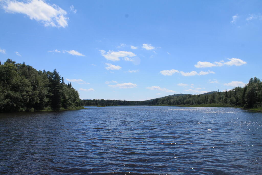 Photo: Cedar River Flow