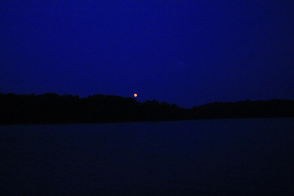 Photo: Over the Hudson