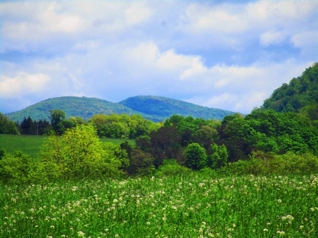 Photo: Outside of Bloomville