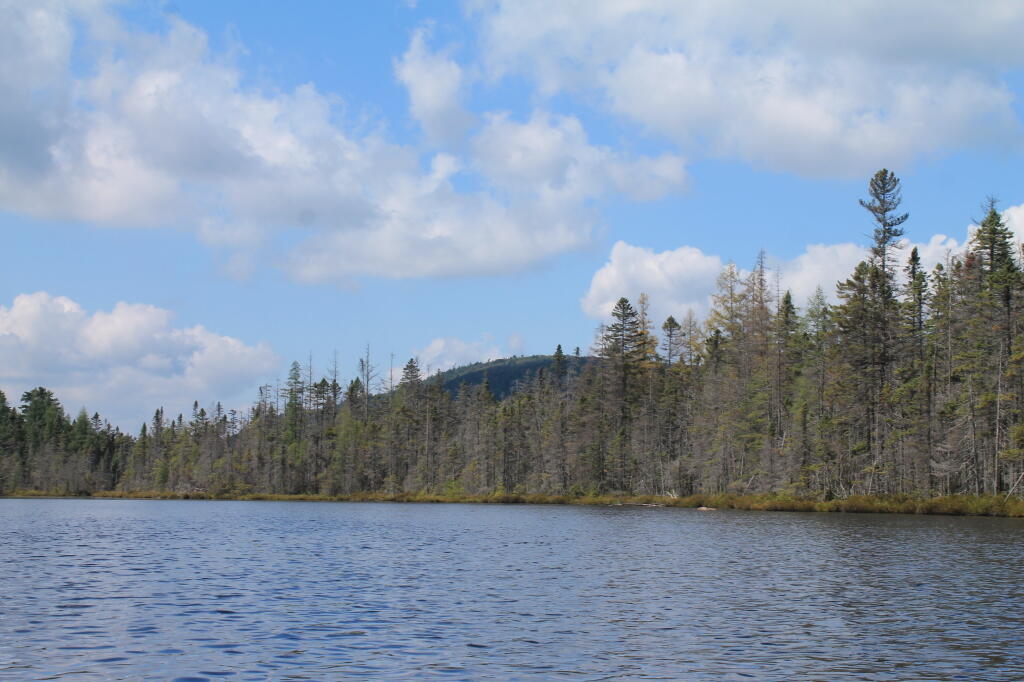 Photo: Towards Mitchell Ponds Mountain