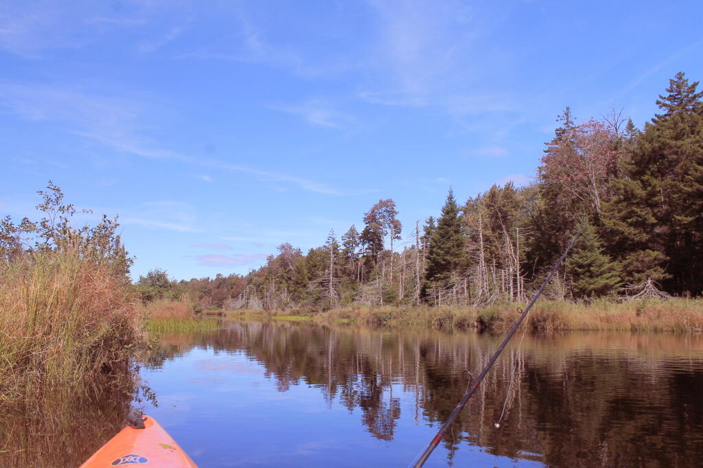 Photo: More Fishing