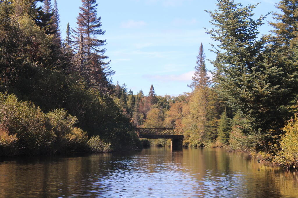 Photo: Powley Bridge