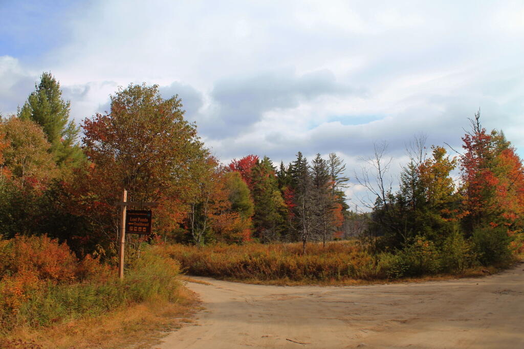 Photo: Lost Ponds Road