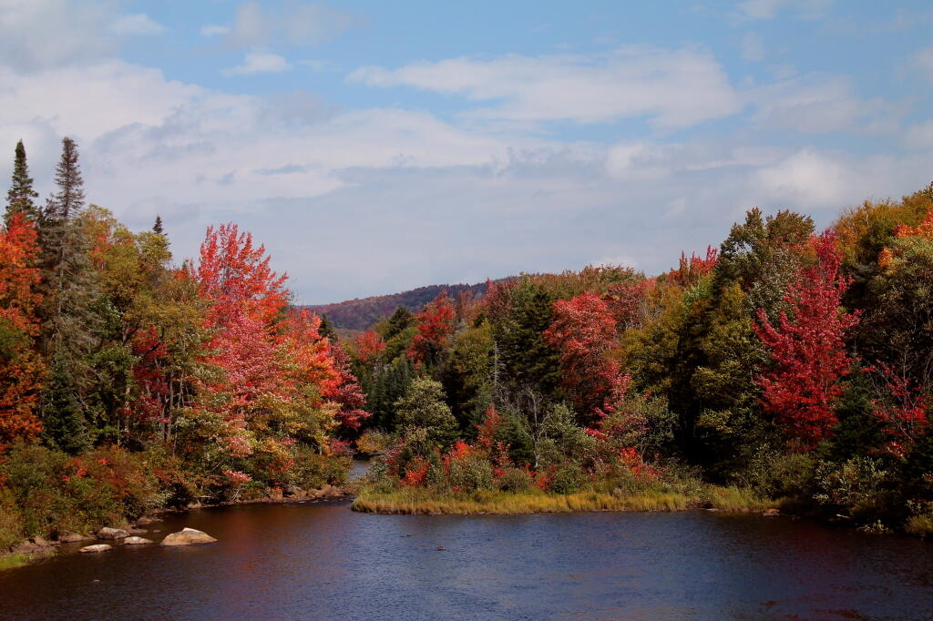 Photo: Cedar River in Fall