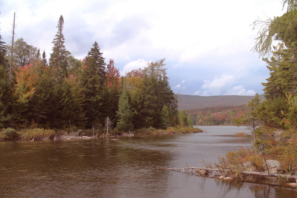 Photo: One Last View Before Leaving Moose Ponds