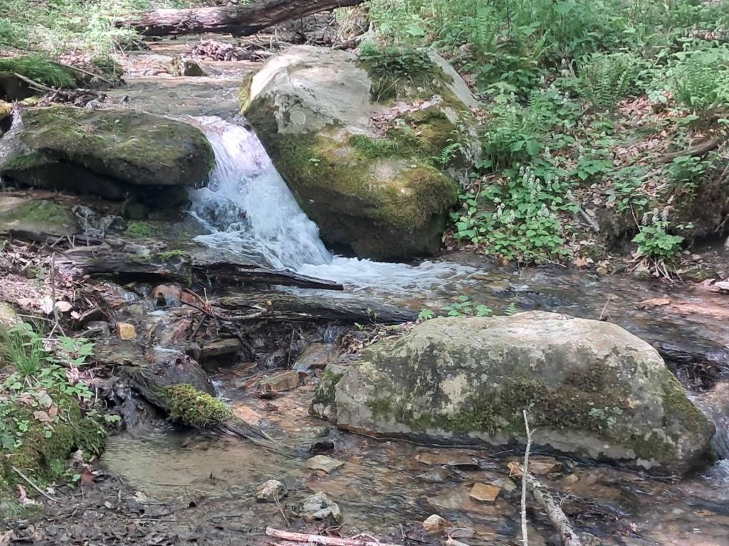 Photo: Waterfall