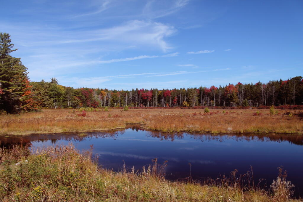 Photo: Duck Pond from the Dam