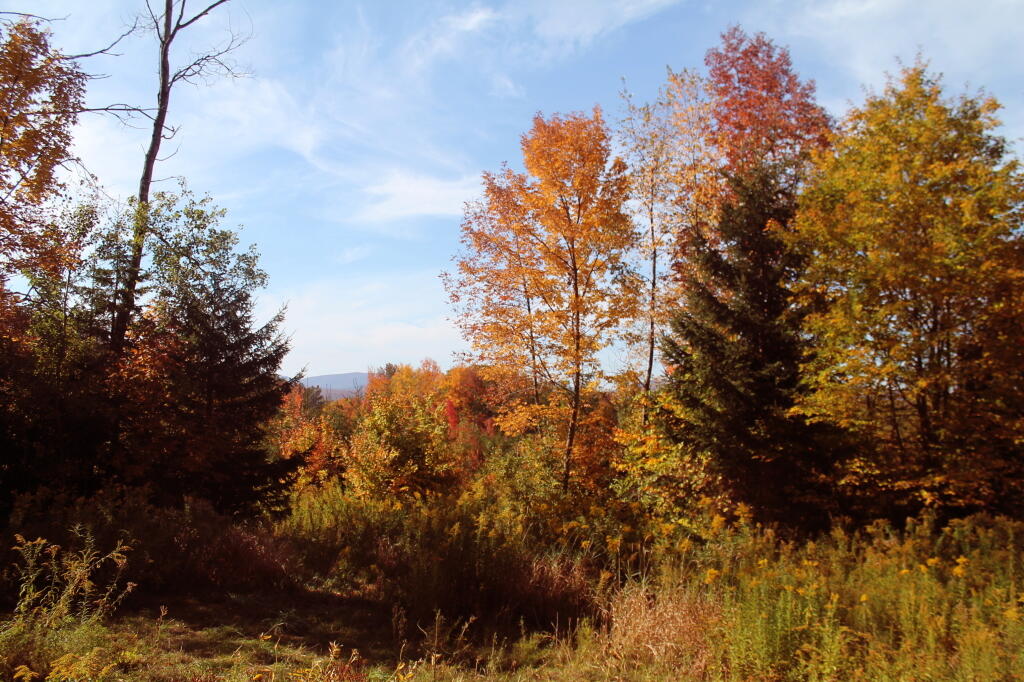 Photo: Along Burnt Hill Road