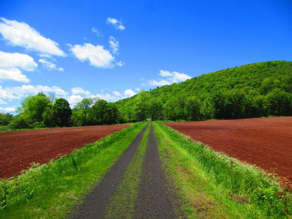 Photo: Freshly Plowed