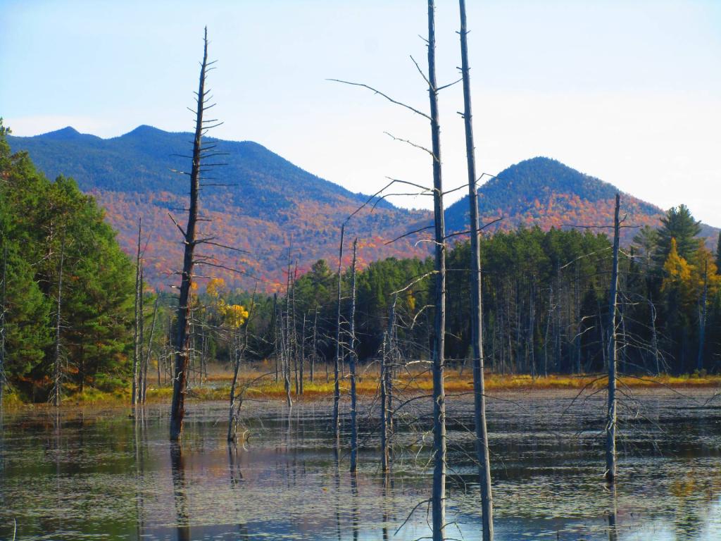 Photo: Little and Big Burn Mountain