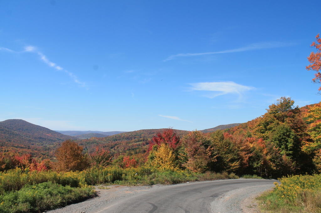 Photo: North into the Valley