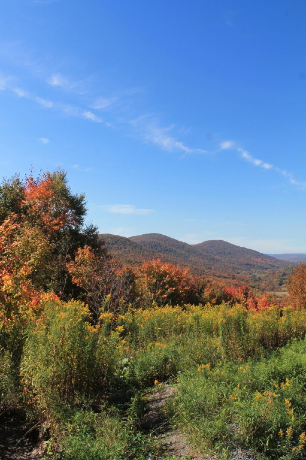 Photo: Very Fall Like