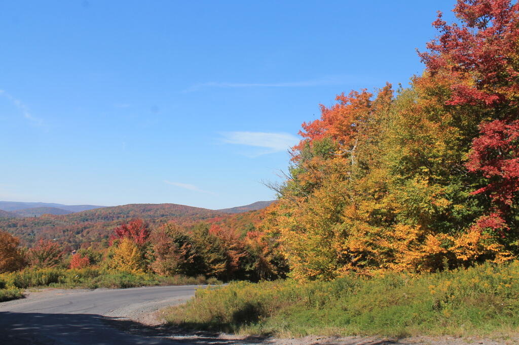 Photo: Fall Colors
