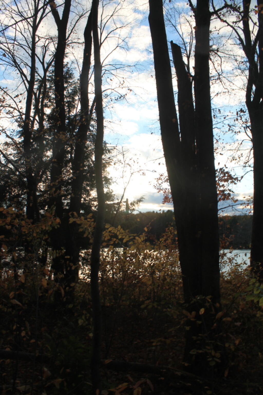 Photo: Photo.2014.10.11 18.41.27