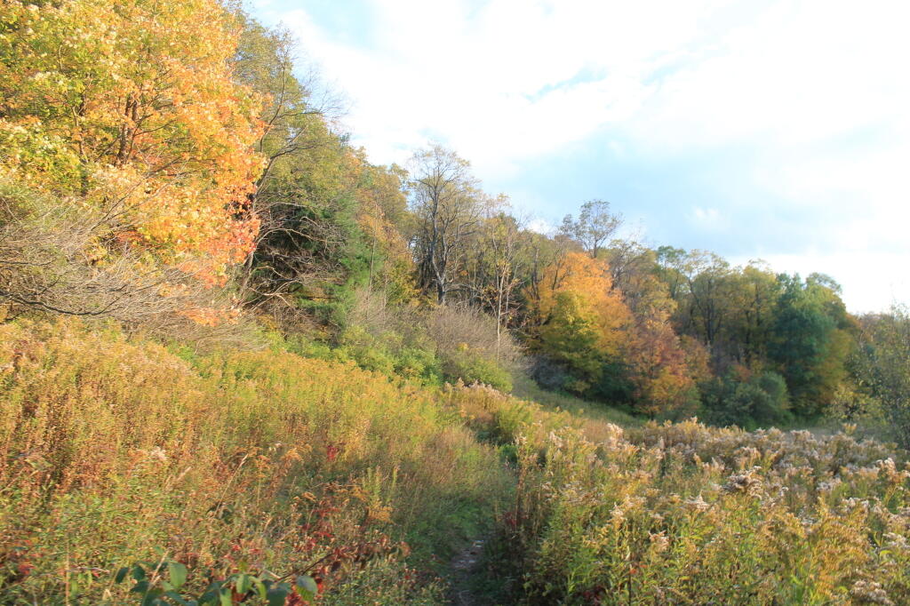 Photo: Photo.2014.10.11 18.48.30