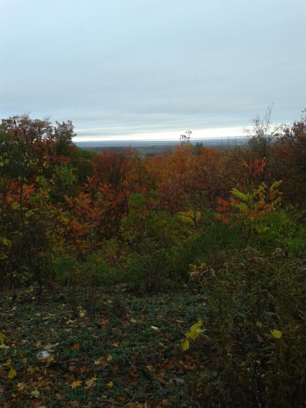 Photo: Photo.2014.10.24 08.44.47