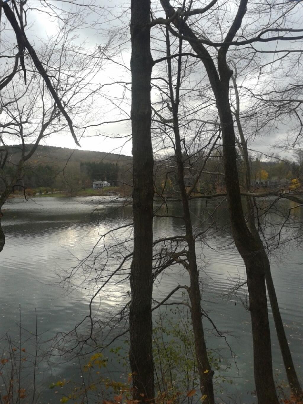 Photo: Photo.2014.11.03 08.34.08