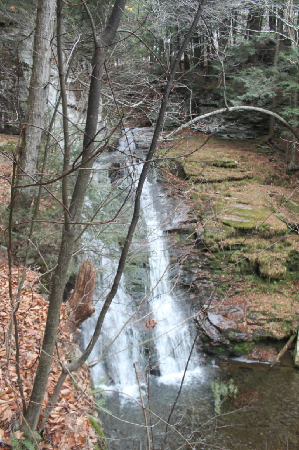 Photo: Russell Brook Falls
