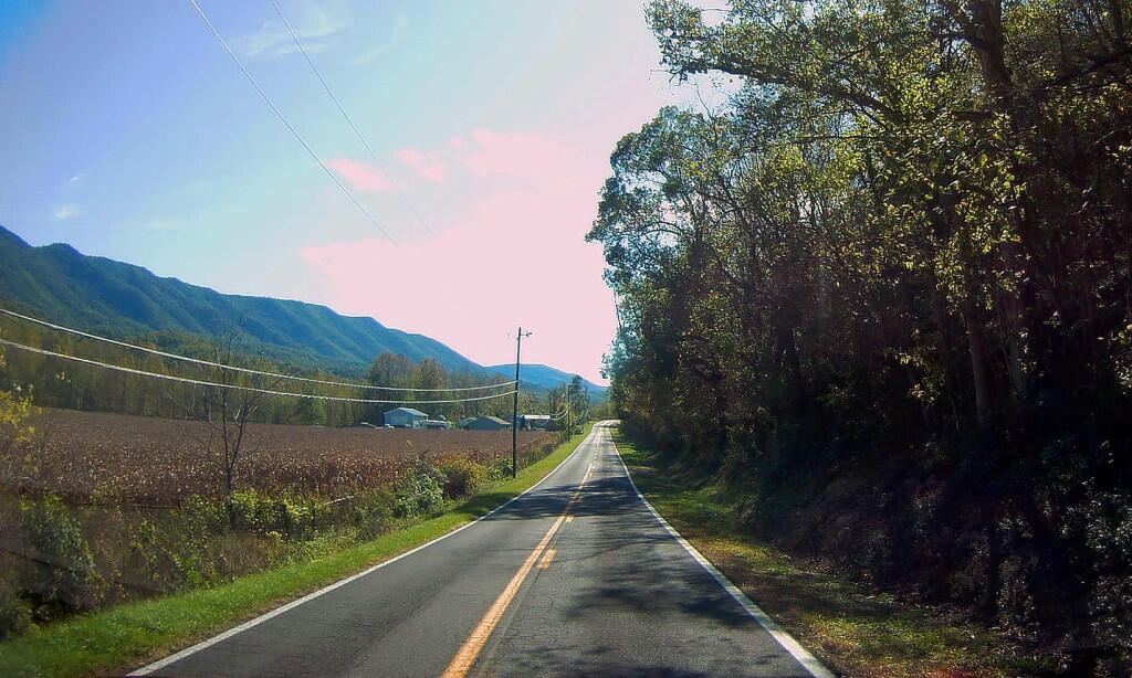 Photo: Corn In The Sweedlin Valley