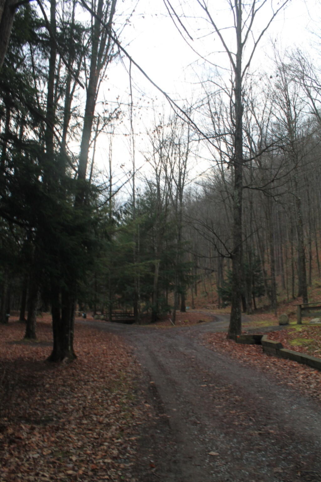 Photo: Kind of a Gray Morning
