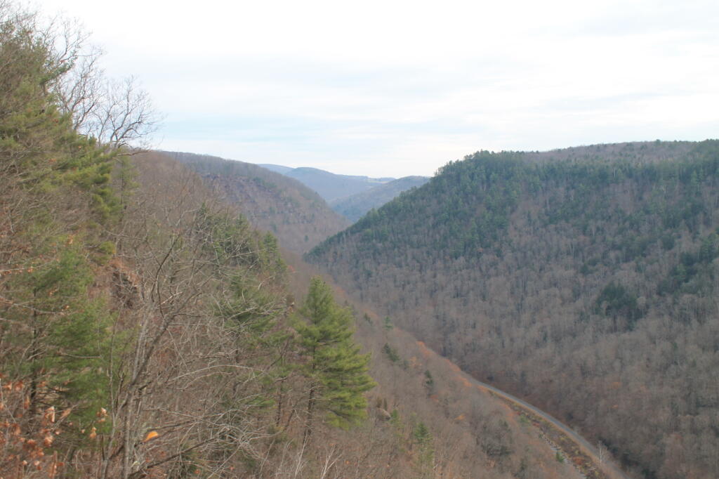 Photo: North from Colton Point