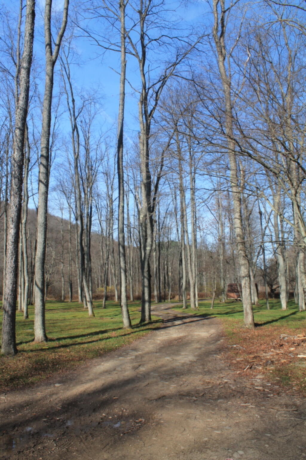 Photo: Campground Road